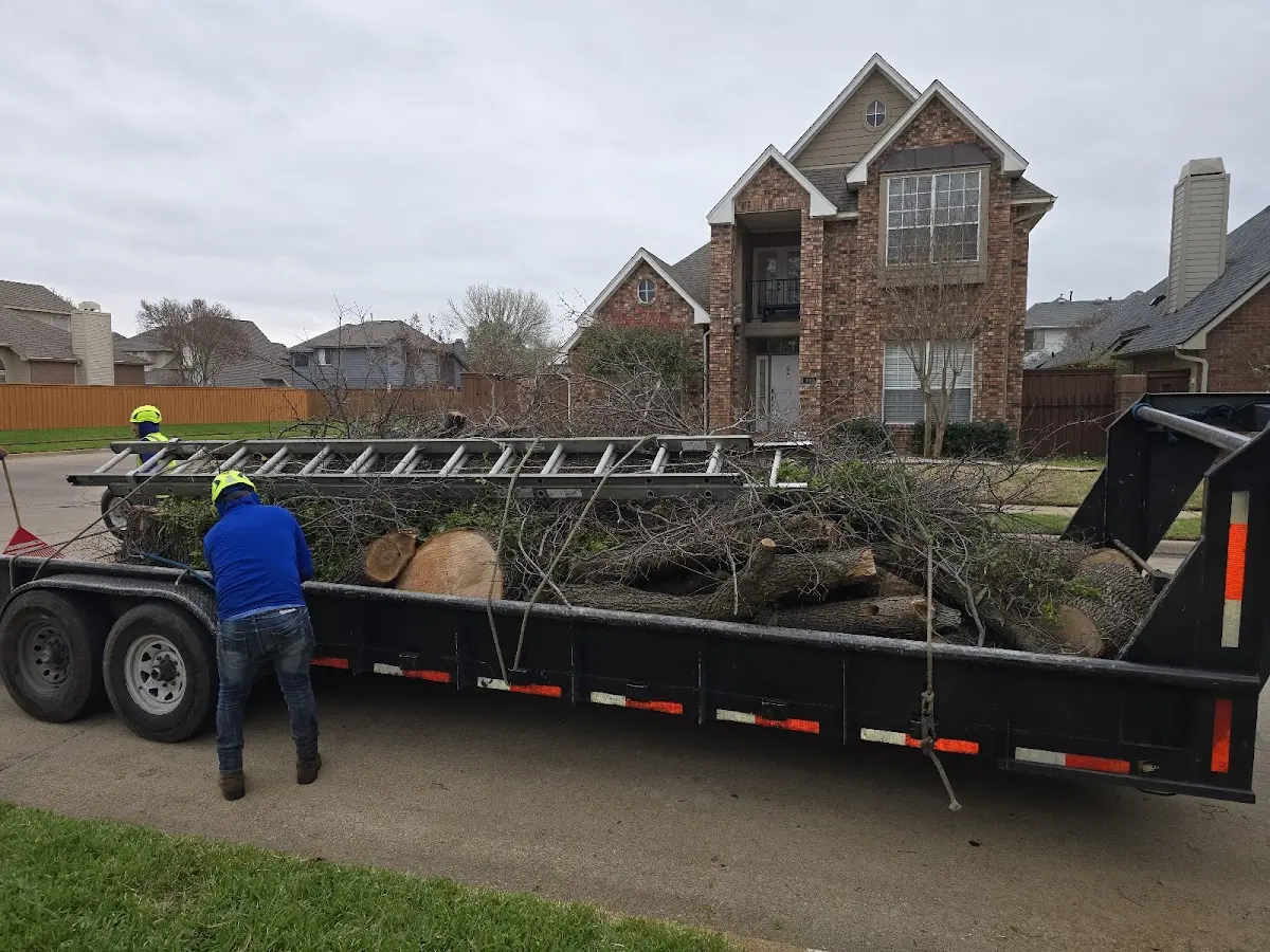 Expert Tree Fertilization with proper safety equipment in Ida Grove